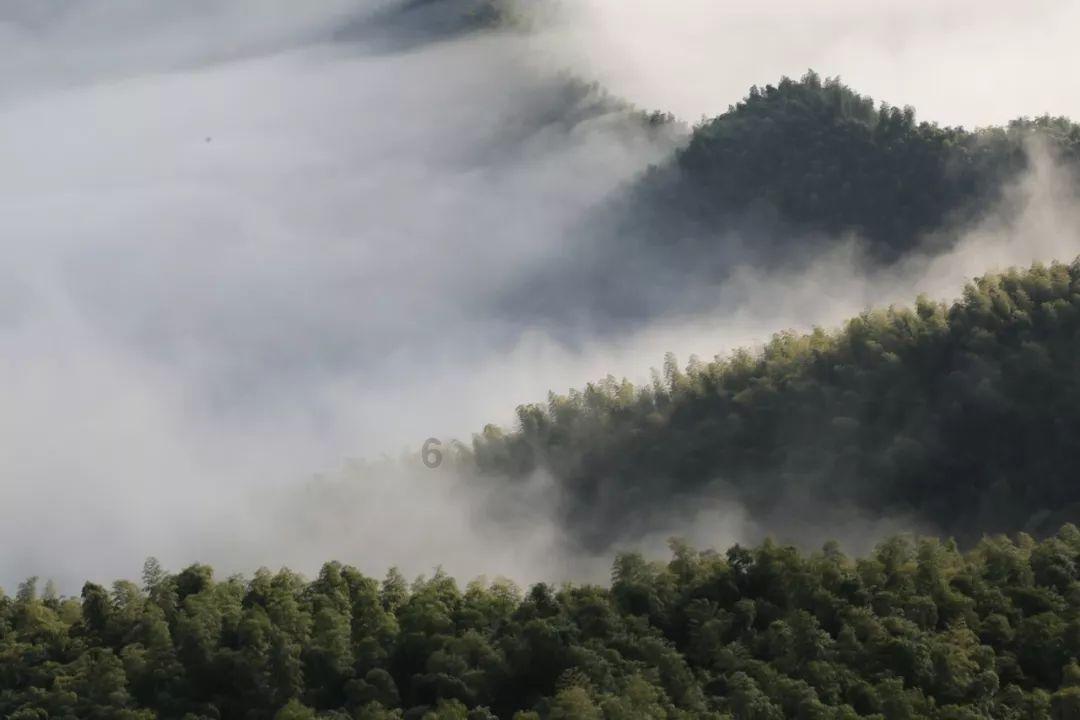 成都誊虞橦服饰有限公司集合店时尚而不花哨给孩子简单健康的生活