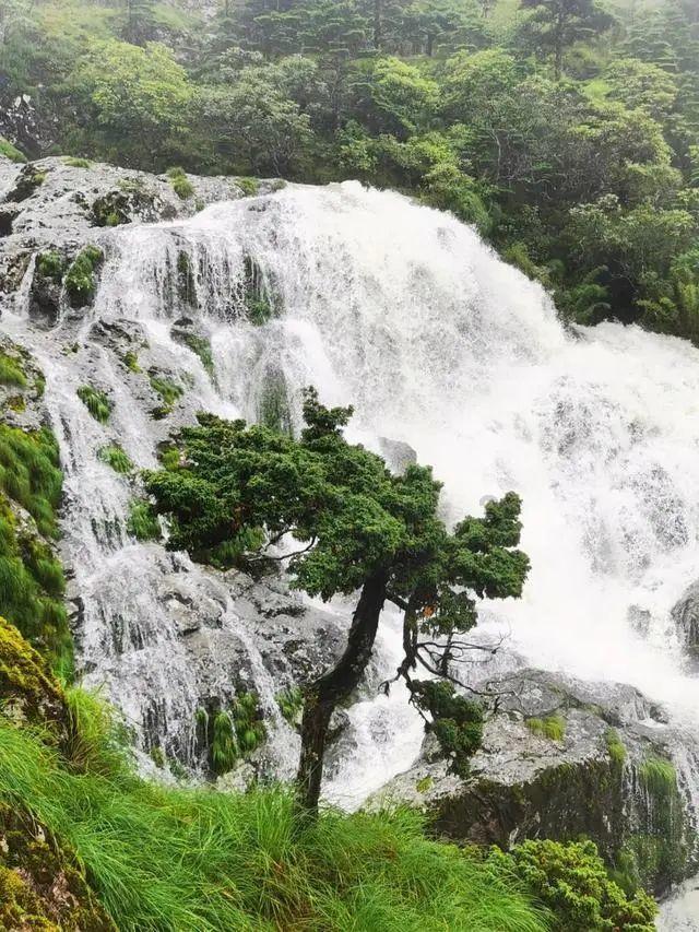 江西连发176道天气预警！明早多地冰冻！这些提醒千万记牢……
