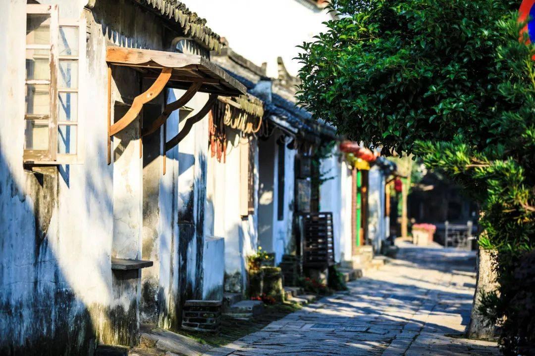可爱兔子营救